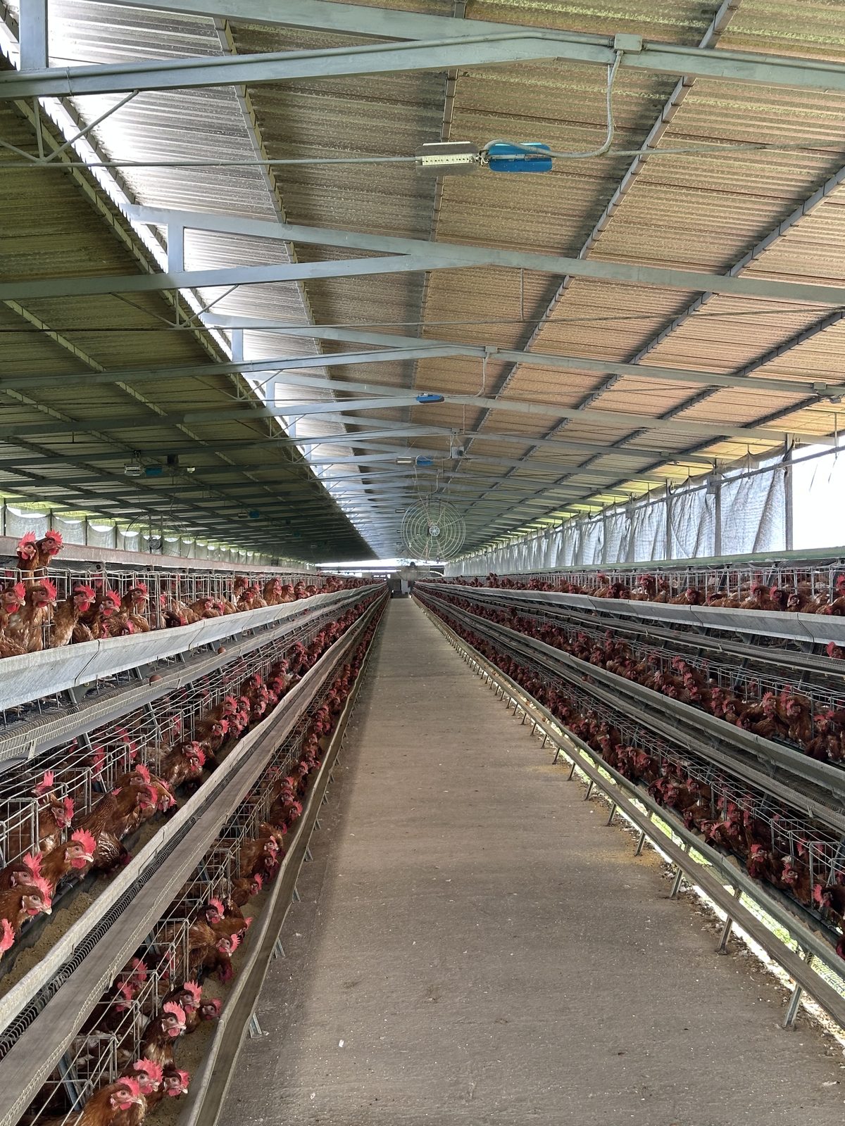 Instalaciones modernas